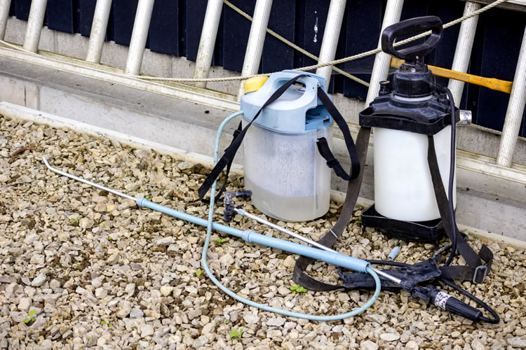 白あり対策について